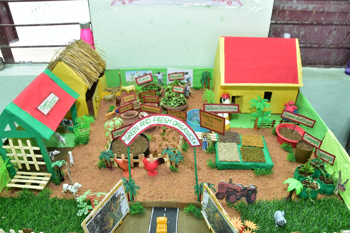 Science Day Exhibition Project